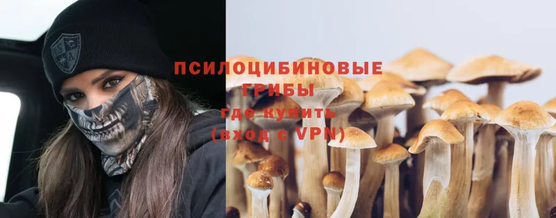 Галлюциногенные грибы Cubensis  Сим 